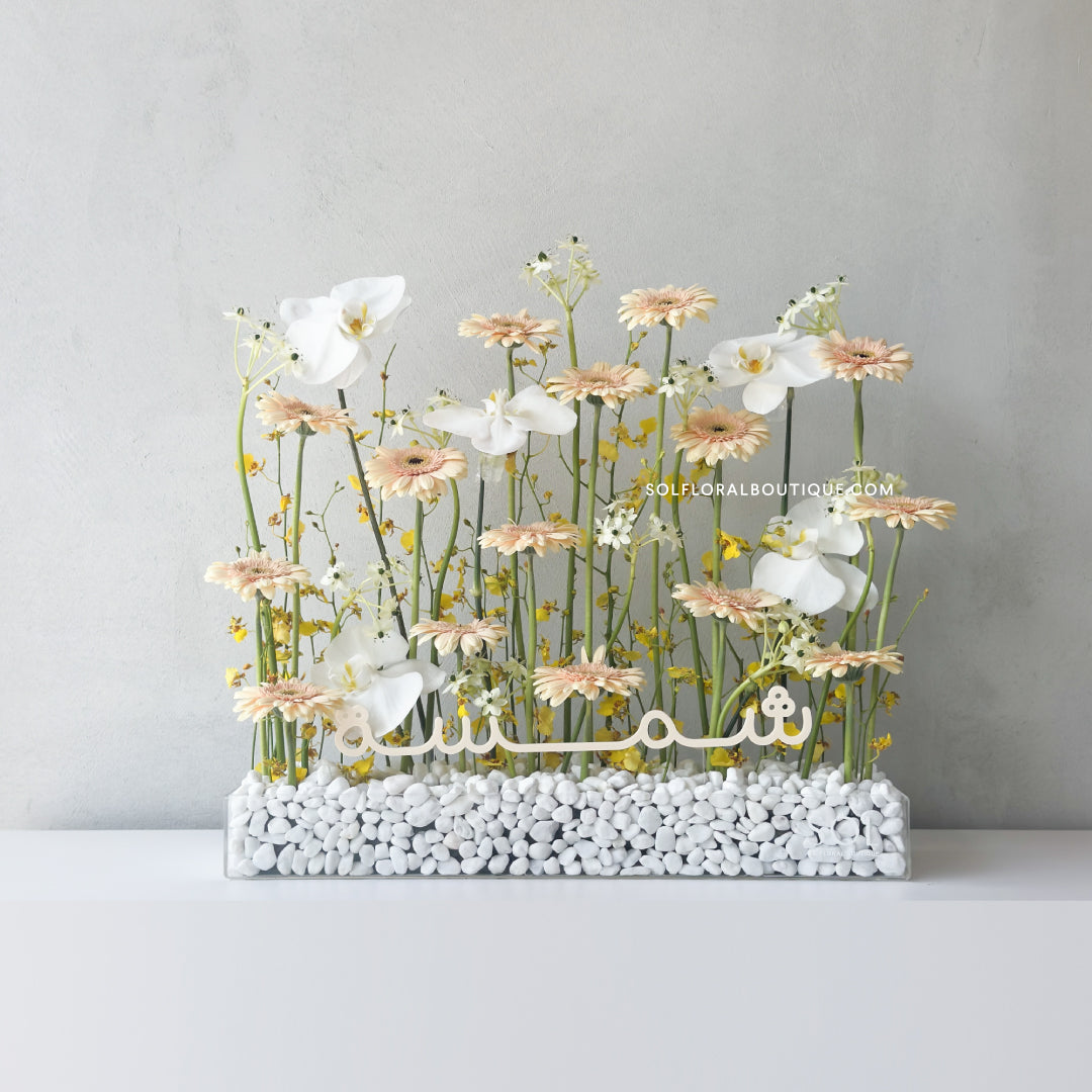Tray Arrangement