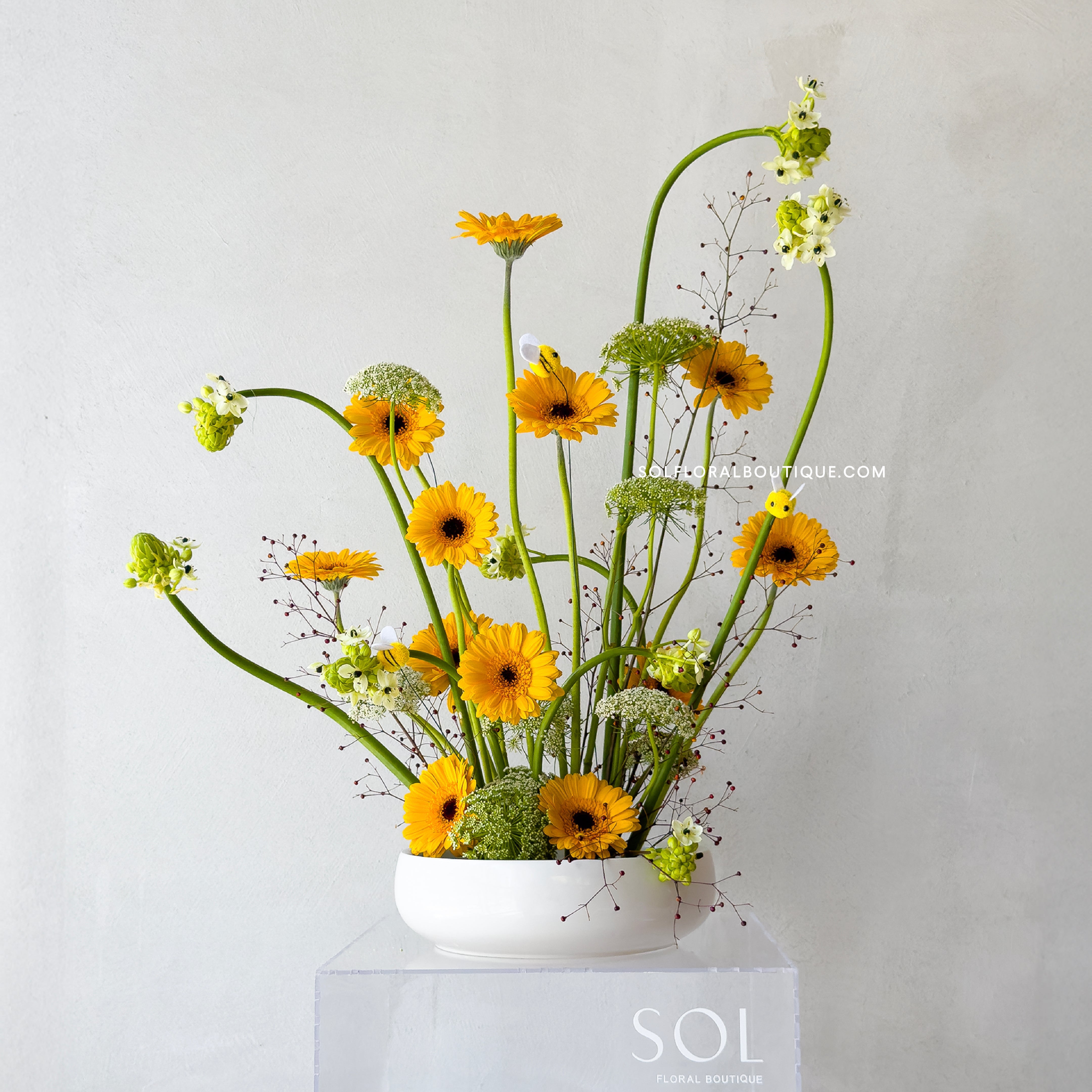 Amber Bloom