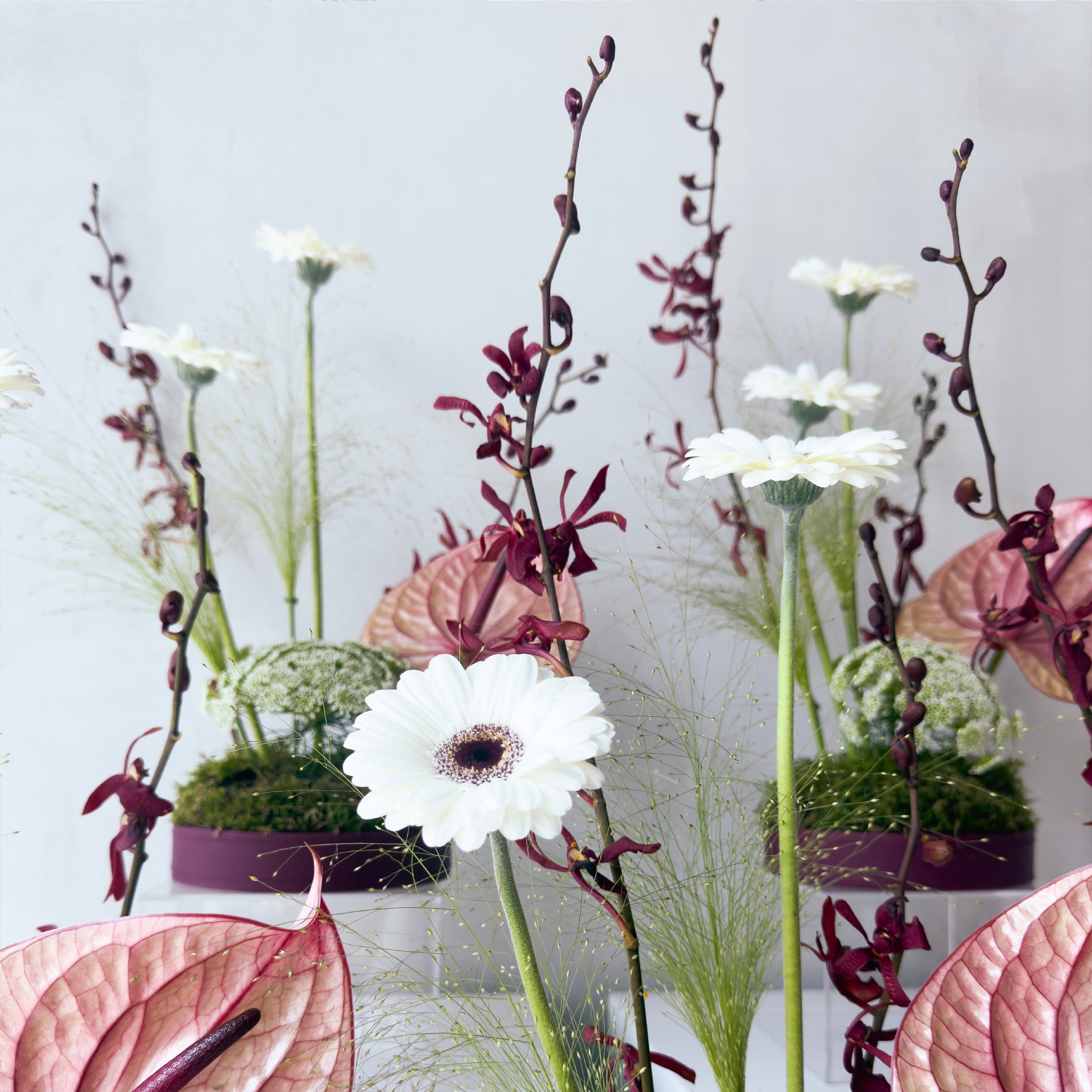 Emerald Ivory Bloom