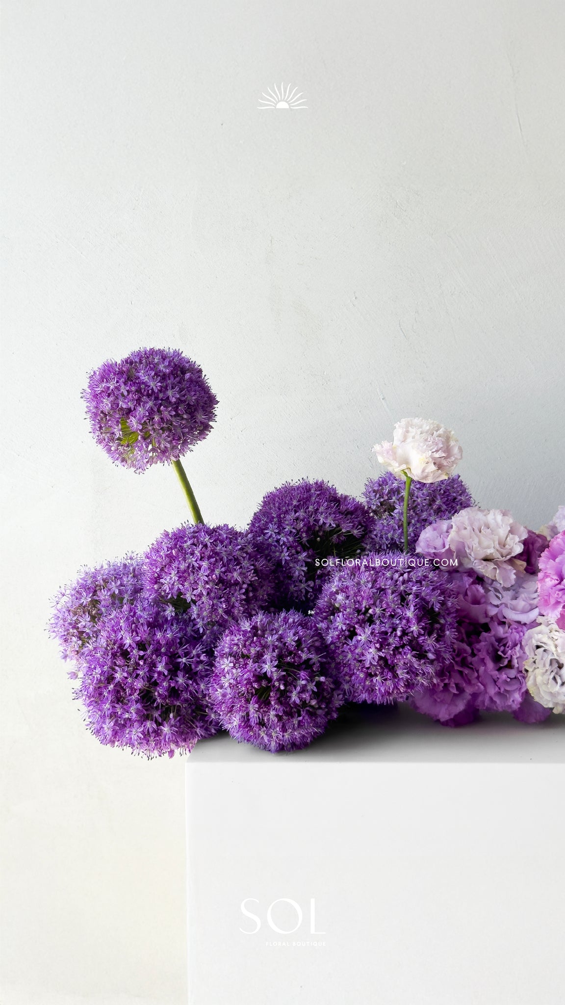 Whispers in Mauve