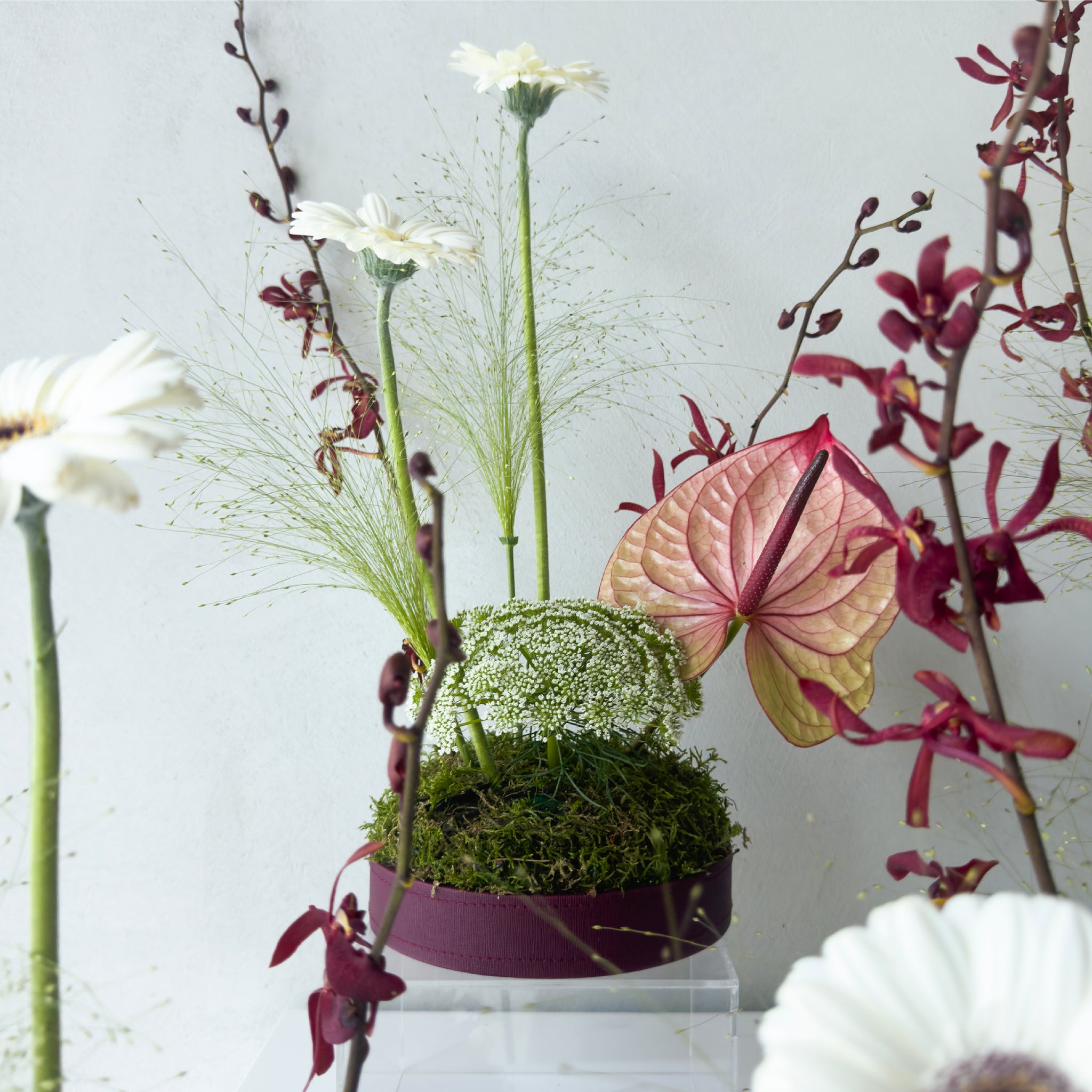 Emerald Ivory Bloom