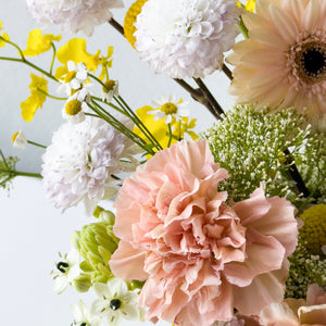 Petal Crush