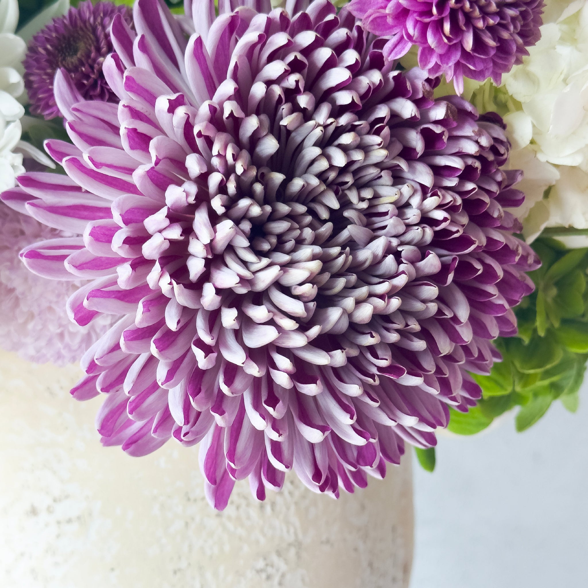 Whimsical Charm