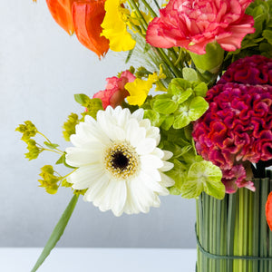 Fiery Blooms
