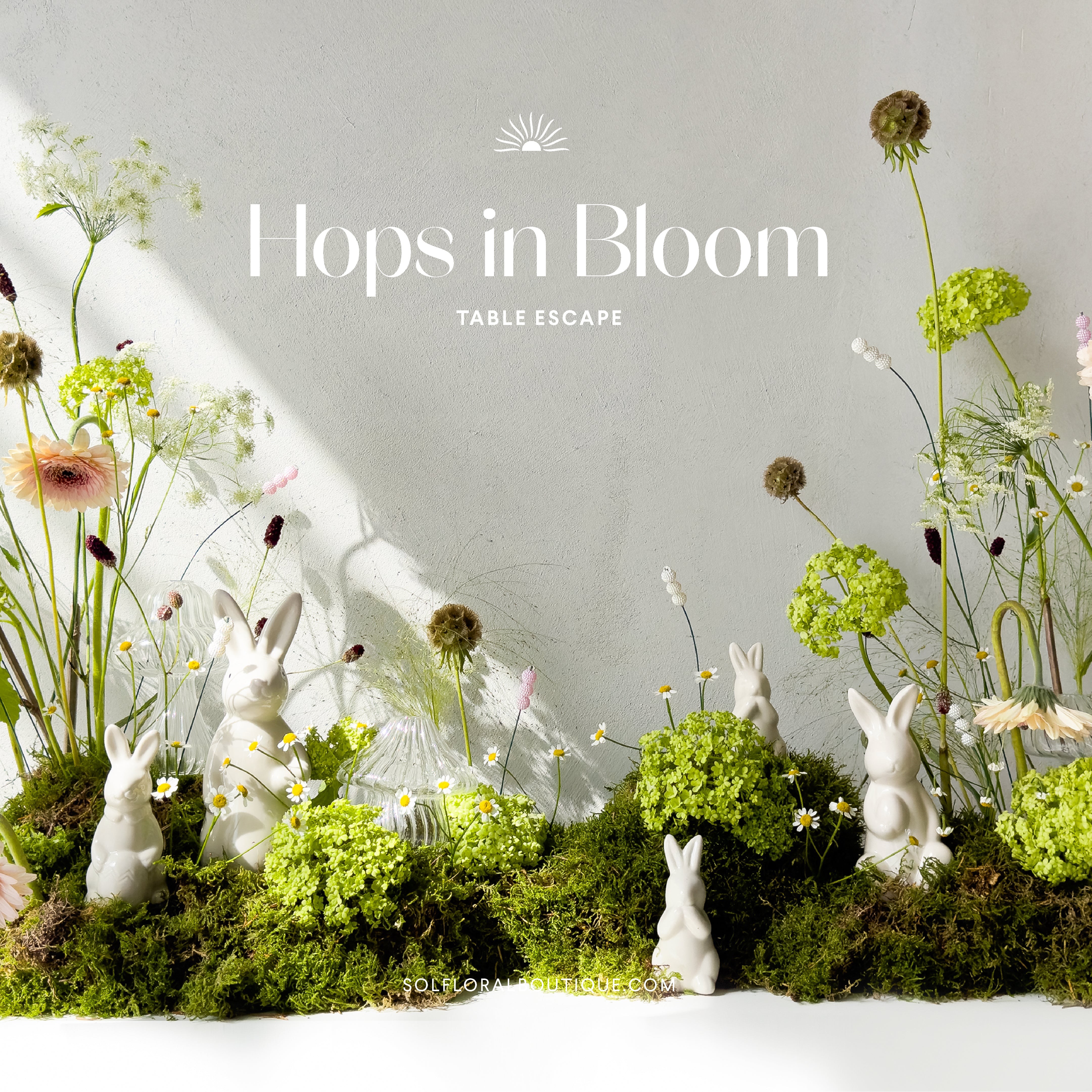 Hops in Bloom