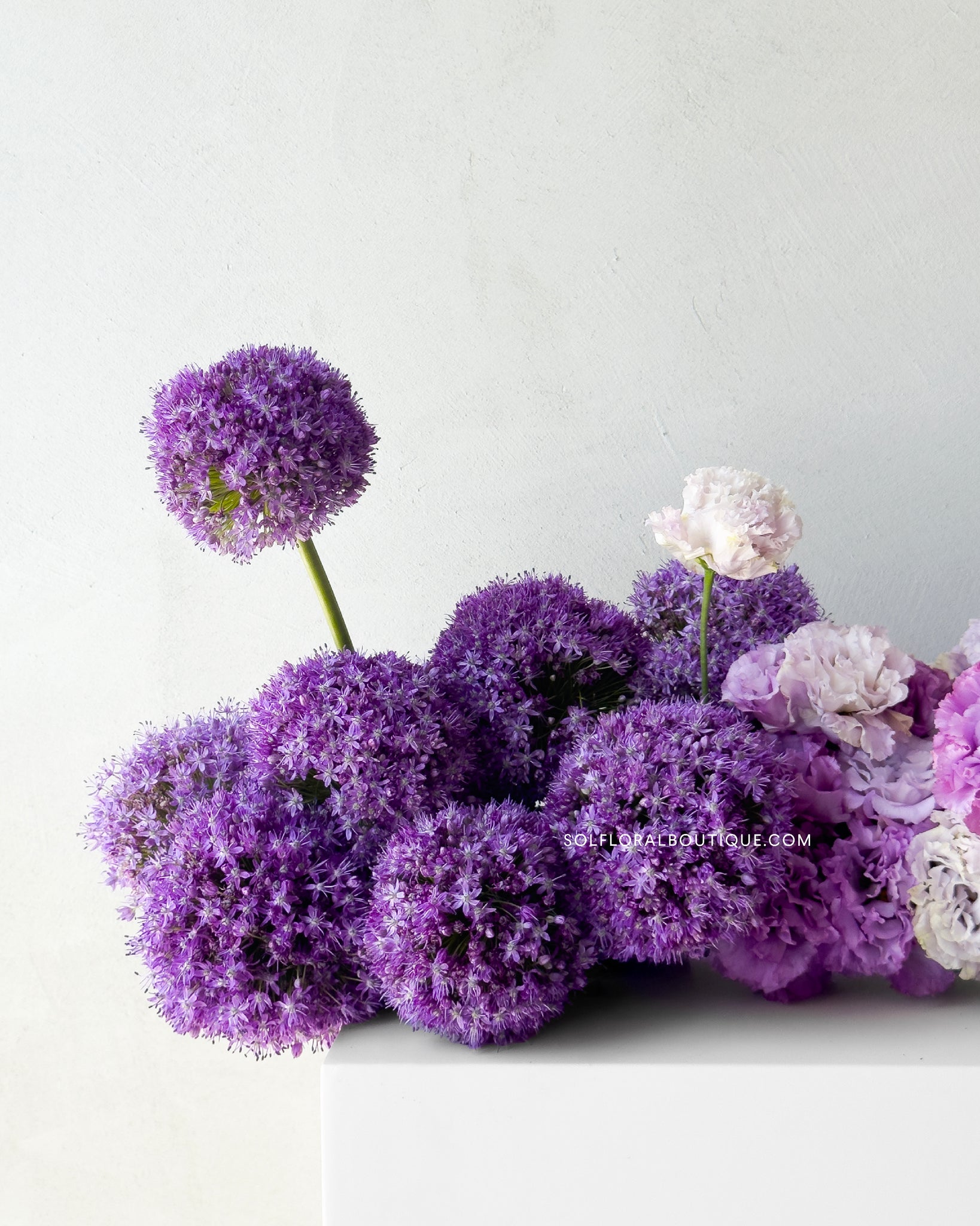 Whispers in Mauve
