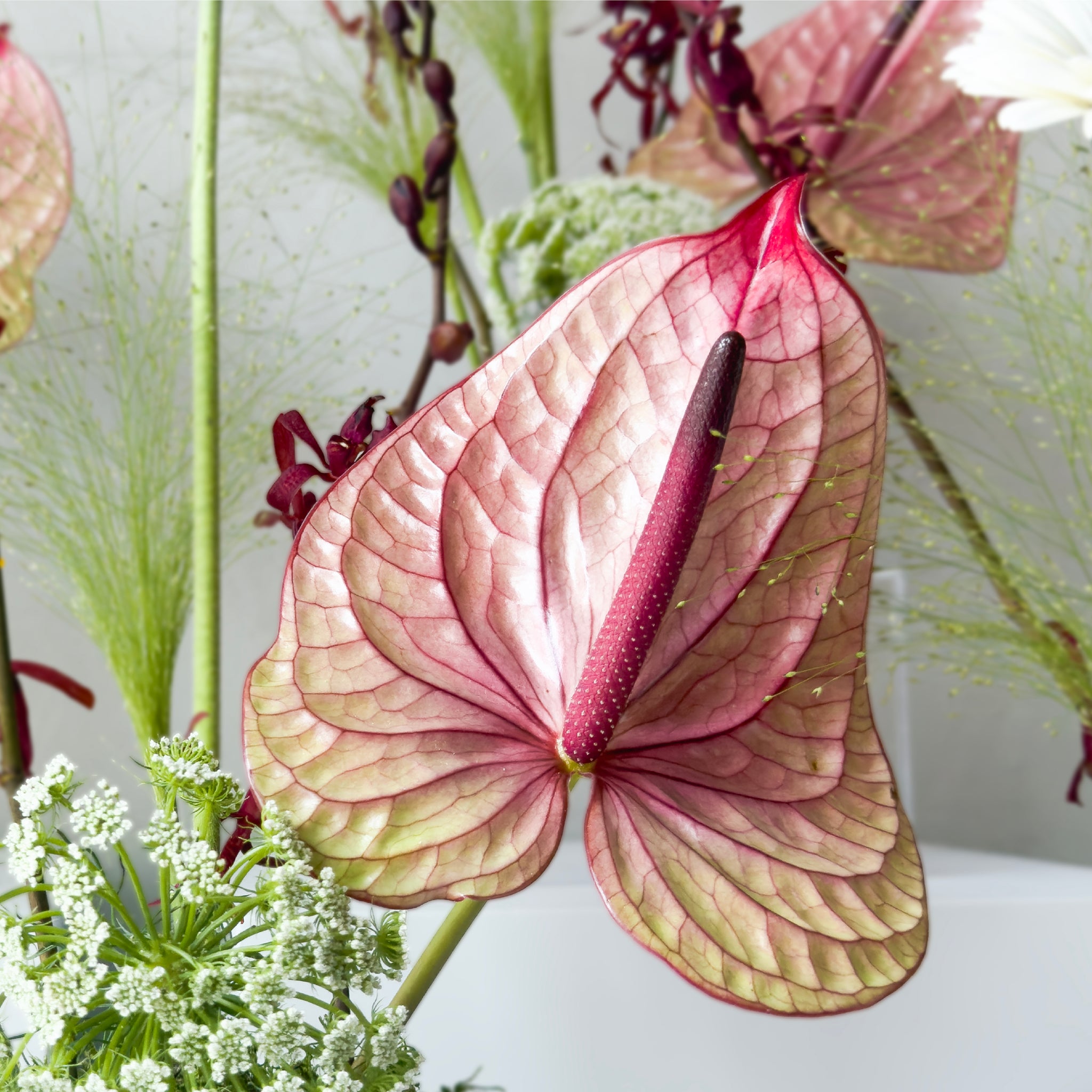 Emerald Ivory Bloom