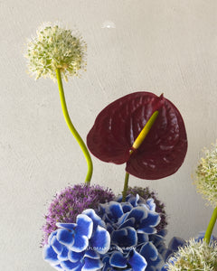 Velvet Bloom