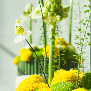 Blossom Beads