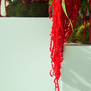 Ruby Reverie