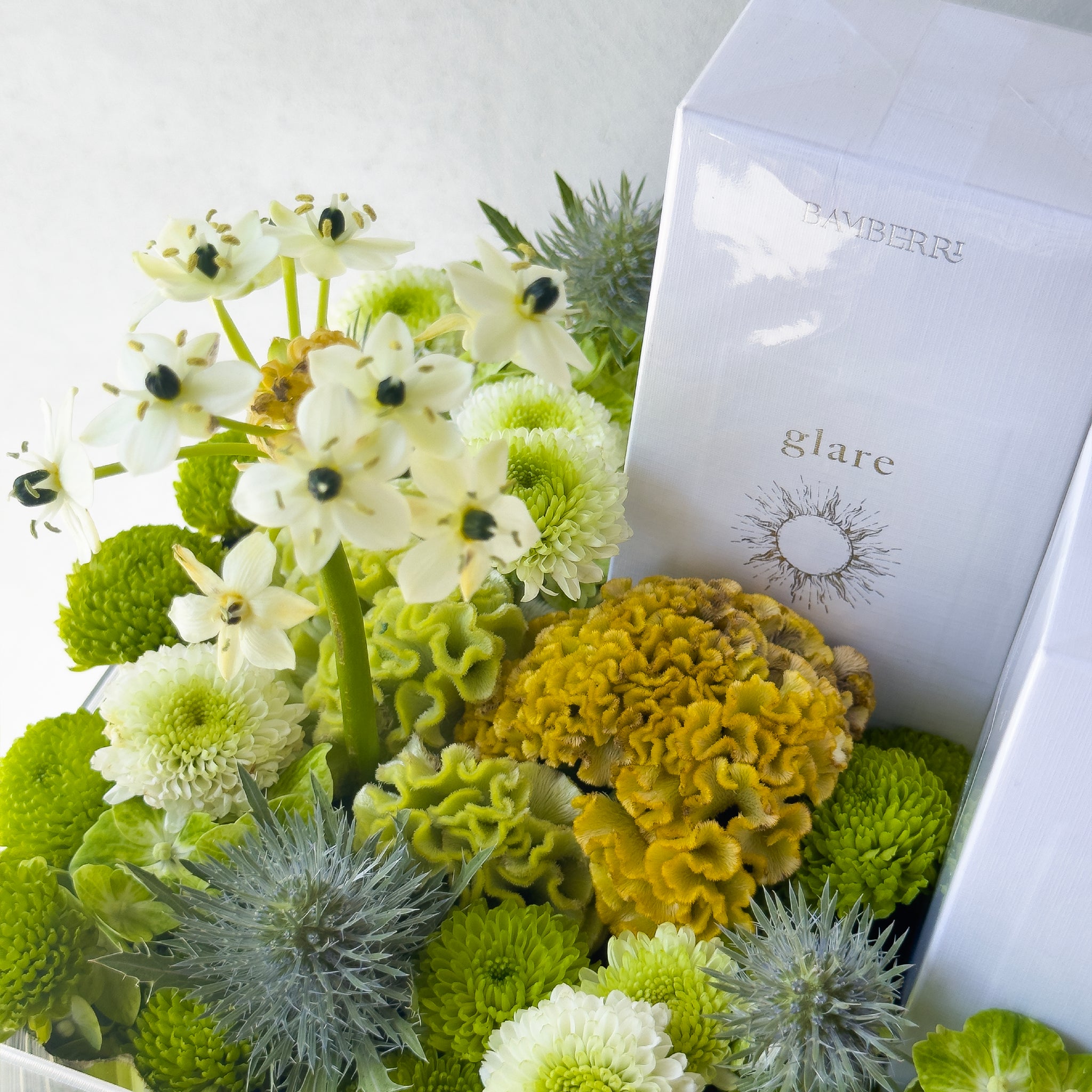 Cactus Wealth Whisper - Mother & Baby perfume gift