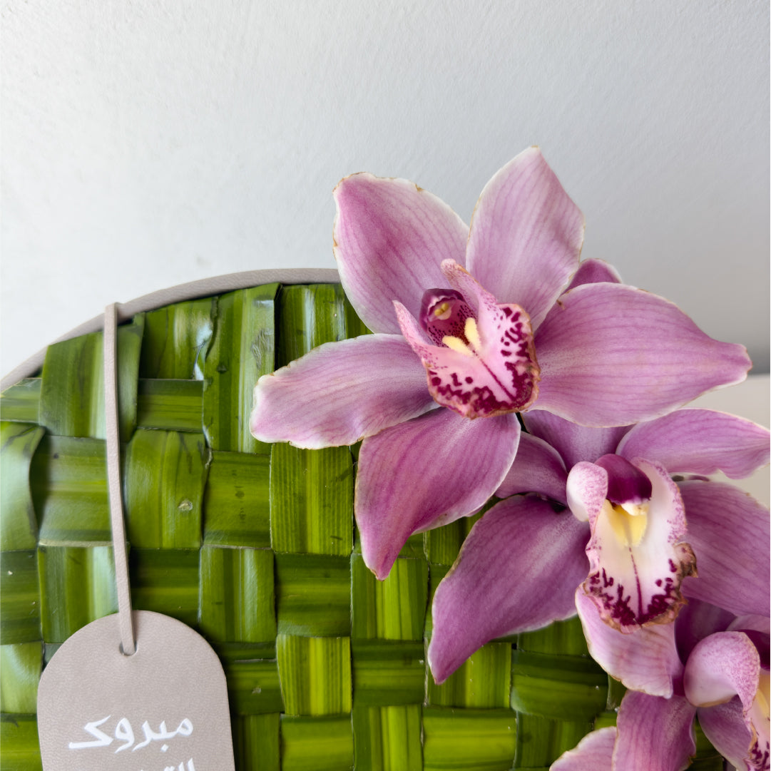 Graduation Arrangement