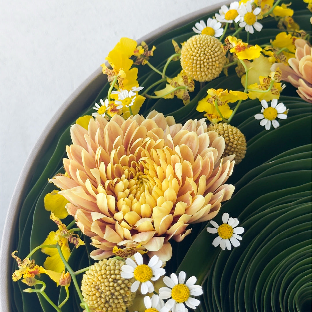 Yellow Reception