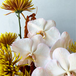 Flaming Petals