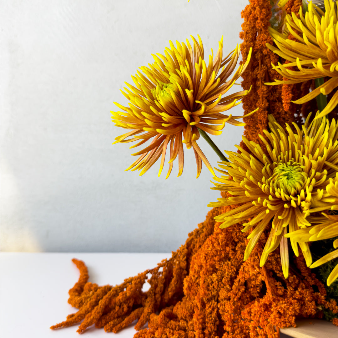 Flaming Petals