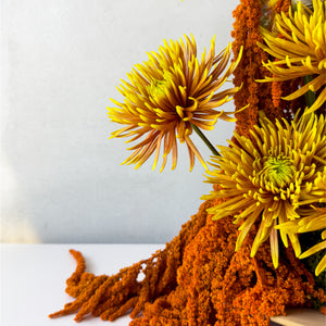 Flaming Petals