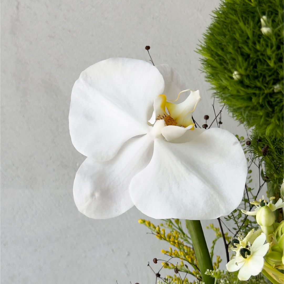 Coffee Table Arrangement