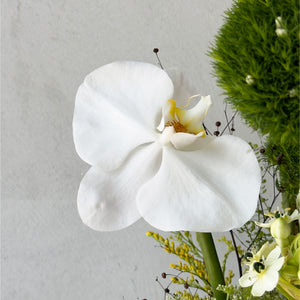 Coffee Table Arrangement