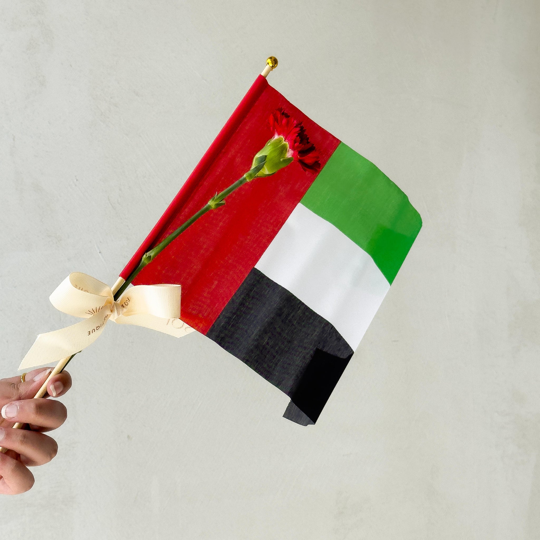 Flag Day Giveaways