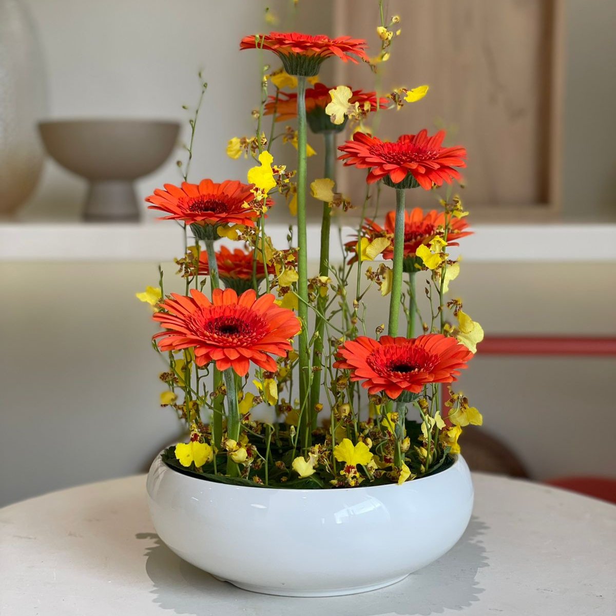 Gerbera - Botanic Heaven