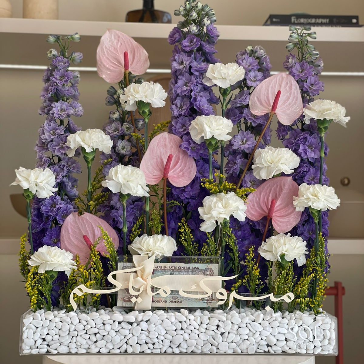 Mabrook Mayakom - purple delphinium