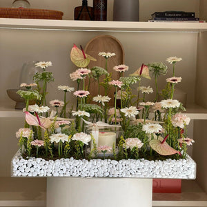 Trio cake tray
