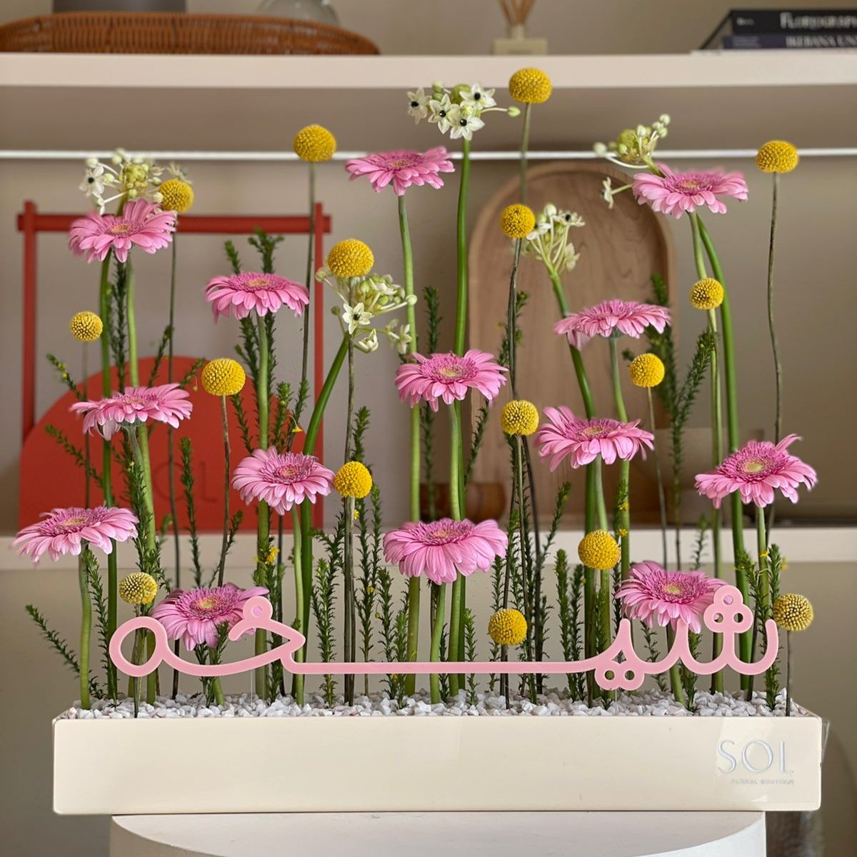 Rosa Collection (Package price)
