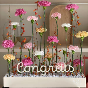 Congrats - Multi color carnation