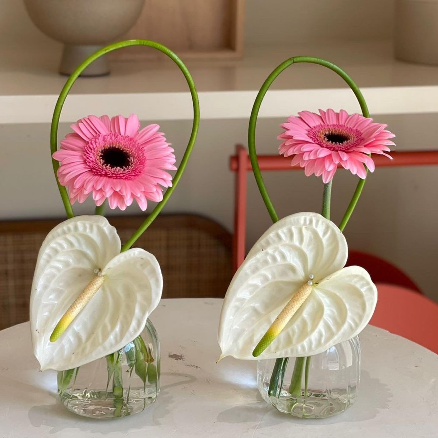 Rosa Collection (Package price)