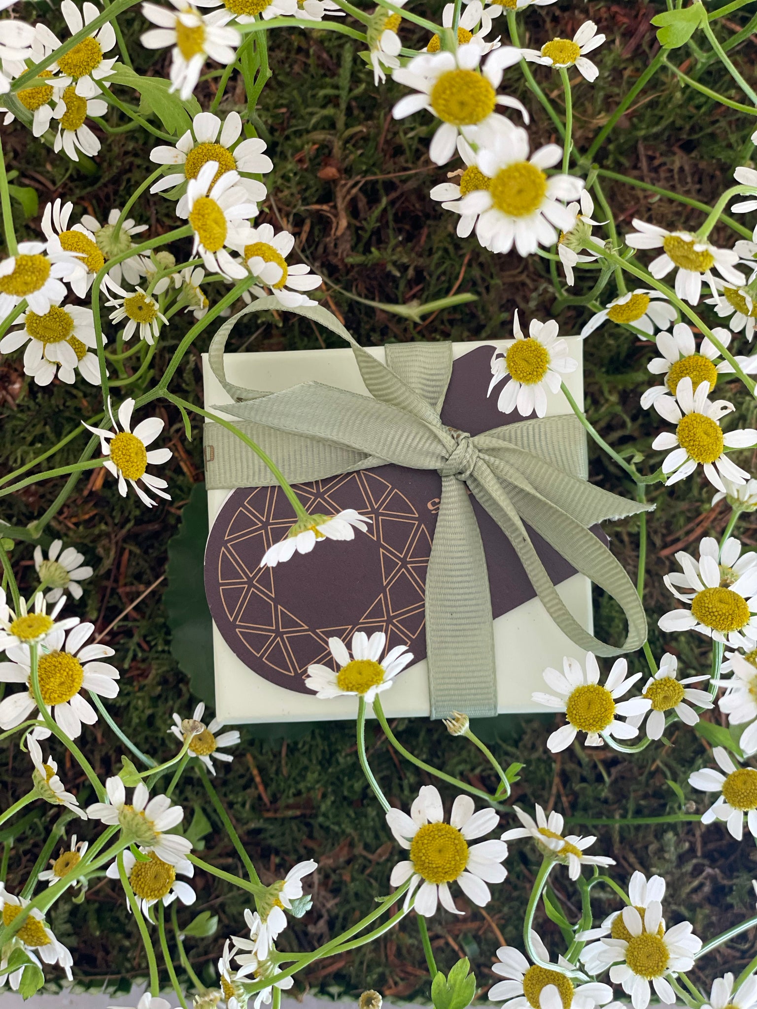 Secret Garden - Pretty Camomile